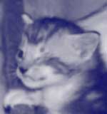 zoey5