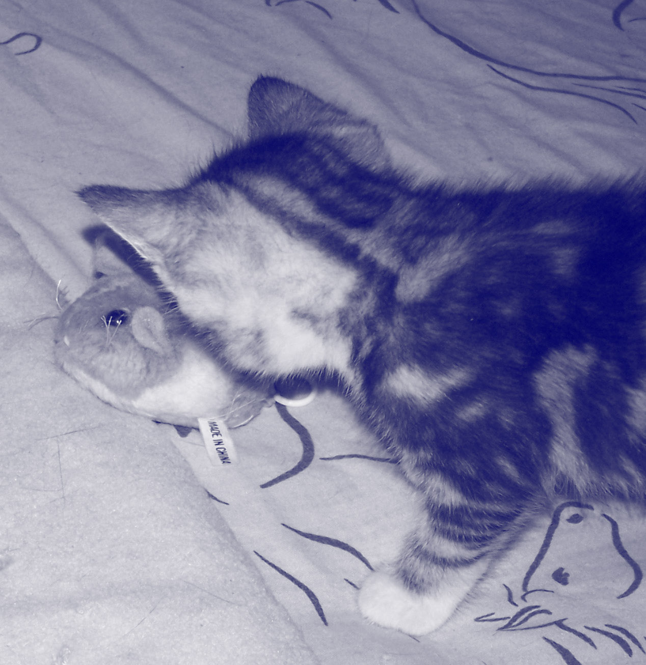 Zoey9