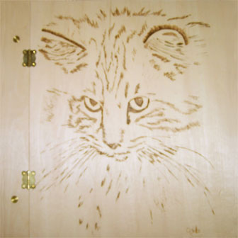 Nine_Lives1